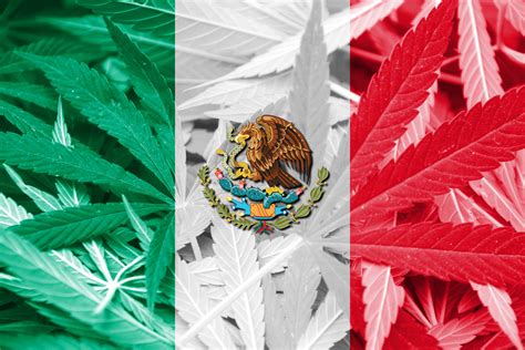 Mexico Unveiled Its Recreational Cannabis Bill 8 Things You Need To