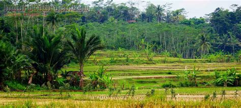 Sebuah gambar akan terlihat indah ketika terdapat unsur yang memenuhinya. Kumpulan Download Lukisan 3d Pemandangan | Karnavalotto