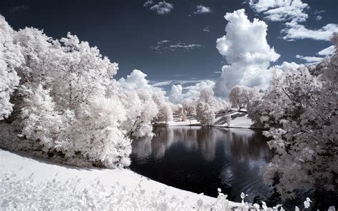 Nature Winter Snow Trees Water Pond Wallpapers Hd