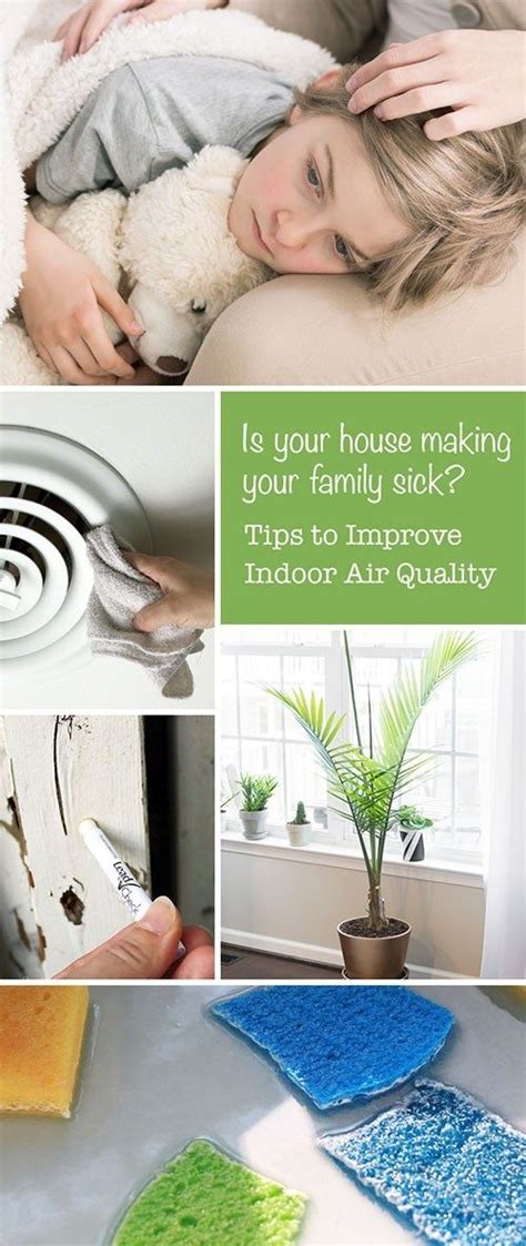 Top Tips For Improving Indoor Air Quality Artofit