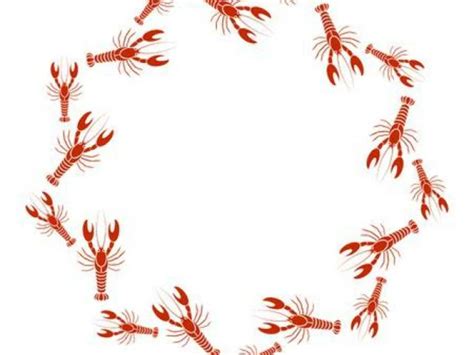 Download High Quality Crawfish Clipart Border Transparent Png Images