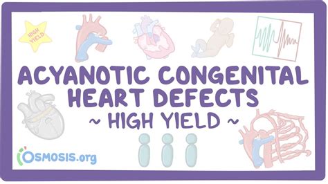 Acyanotic Congenital Heart Defects Pathology Review Osmosis