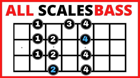 Bass Guitar Scales For Beginners All You Need To Know Bass Scales