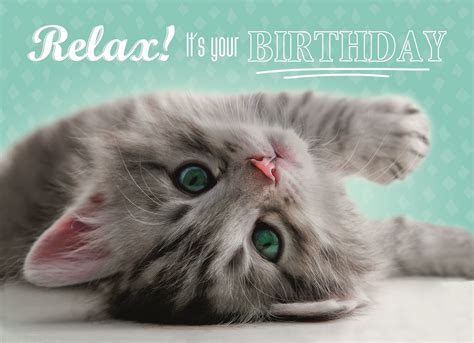 Verjaardagskaart Met De Tekst Relax Its Your Birthday Hallmark