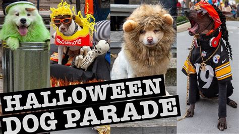 Halloween Dog Parade Nyc And Dog Friendly Spots Youtube