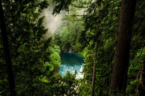 Wallpaper Nature Landscape Water Lake Pine Trees Forest