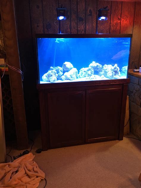 Just Filled 90 Gallon Reef Tank Getting Ready To Cycle It Raquariums