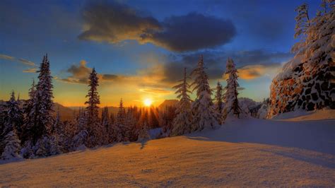 обои Солнечный лучик Деревьями пейзаж закат солнца природа небо снег Зима Цены