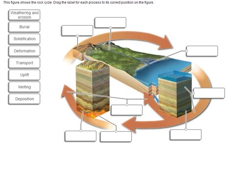 Solved This Figure Shows The Rock Cycle Drag The Label For Chegg Com