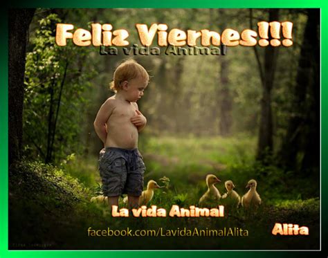 Particularmente, en grecia y en los países hispanohablantes, el martes 13 tiene el mismo papel con severa cola. La vida Animal: Feliz Viernes