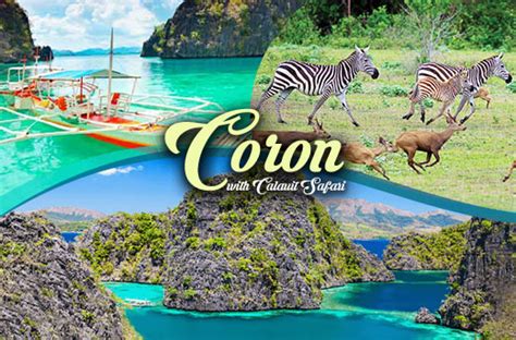 41 Off 4 Days And 3 Nights In Coron With Calauit Safari Tour Promo
