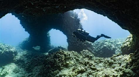 Guide To The Best Scuba Diving In Hawaii Kona Honu Divers