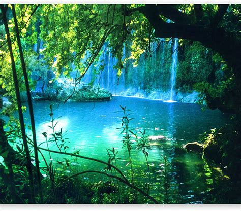 Tropical Waterfall Lagoon Forest 1500x1318 Wallpaper