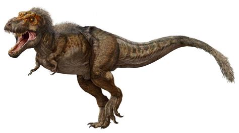 El Tiranosaurio Rex Real No Se Parecía En Nada Al De Parque Jurásico