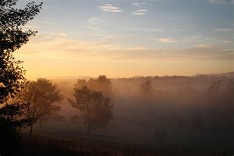 A Suburban Wilderness Foggy Morning Sunrise Rant