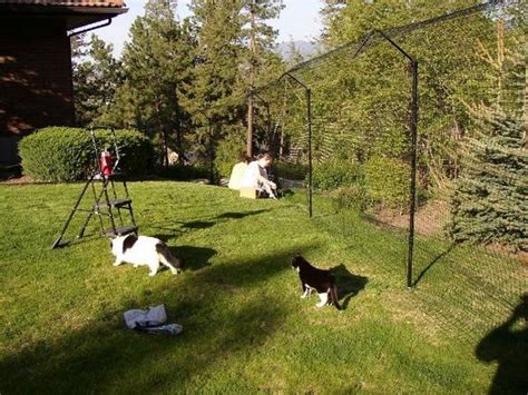 Besides that you can't click on these areas, there's also some sort of invisible wall. Cat proof garden ideas - keep your pets inside your backyard
