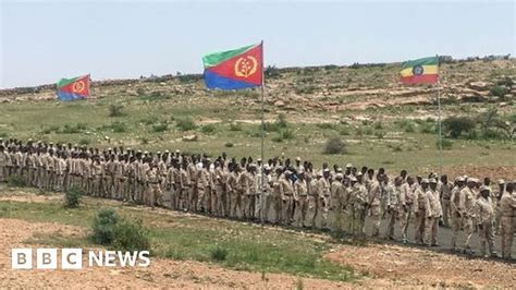 Eritrea Starts Big Offensive In Ethiopia S Tigray Region Tplf Bbc News