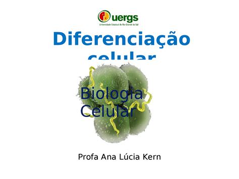 Aula Diferenciação Celular 1 Biologia Celular Docsity