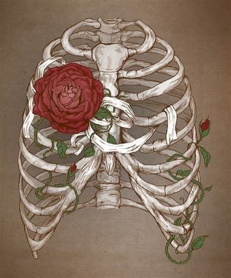 Art Bones Flowers Ribs Rose Skull Art Anatomy Art Skeleton Art