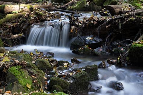 Free Images Landscape Nature Rock Waterfall Creek Mountain Leaf
