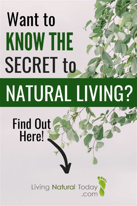 The Secret To Natural Living