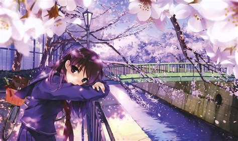 Anime Cherry Blossom Wallpaper 72 Images