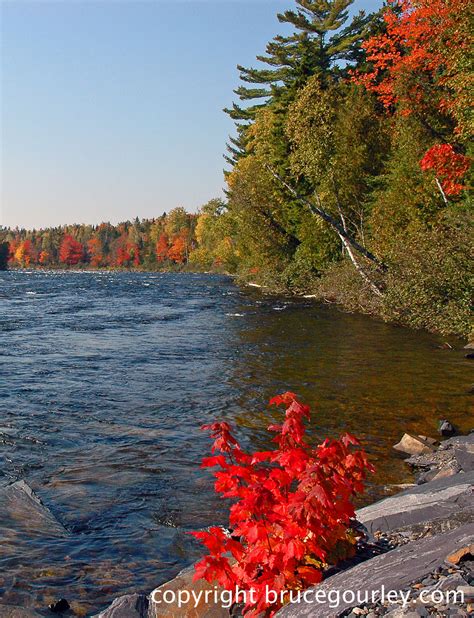 Maine Autumn Wallpaper Wallpapersafari