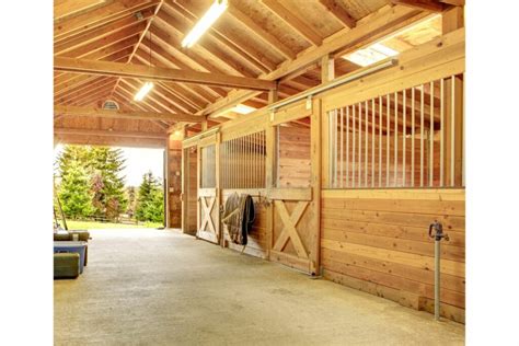 Down N Dirty Horse Barn Cleaning Tips Horse Rookie