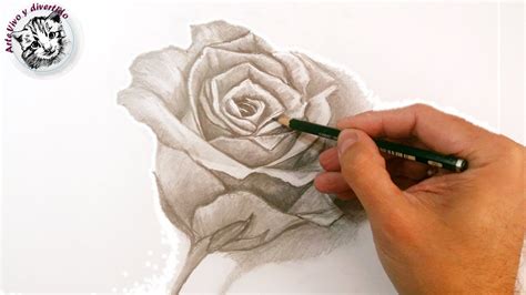 Cómo Dibujar Una Rosa A Lápiz Paso A Paso Técnicas De Dibujo A Lápiz