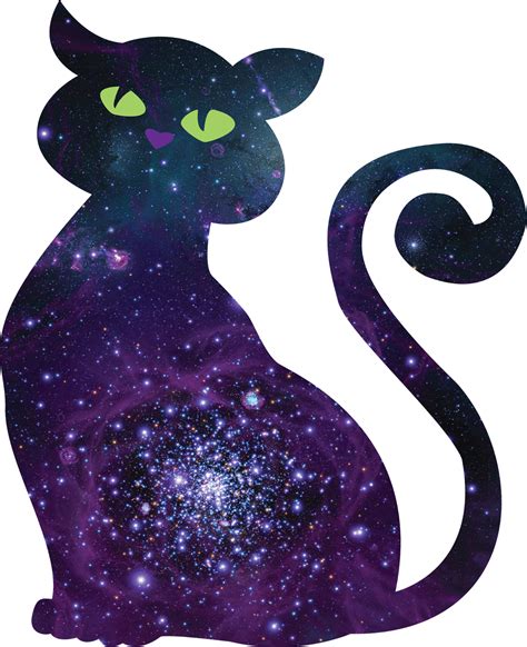 The Orangie Files Galaxy Cats