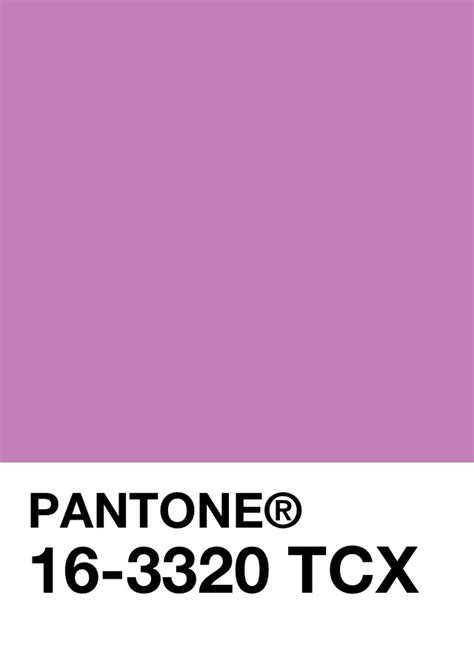 Pantone Violet Pantone Pantone Color Colour Board