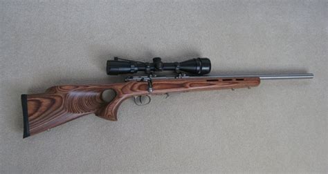 The Best Scopes For 17 Hmr In 2022 Top