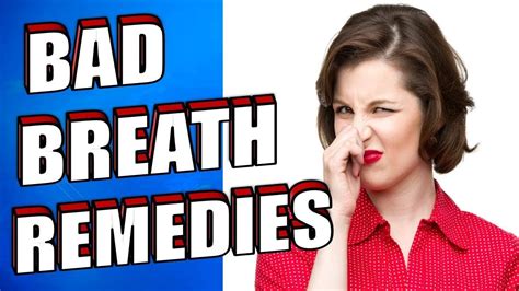 8 bad breath home remedies that work halitosis cure and treatment youtube