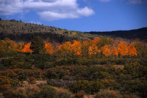 Scenic Byway 64 In New Mexico Fall Colors In New Mexico Flickr