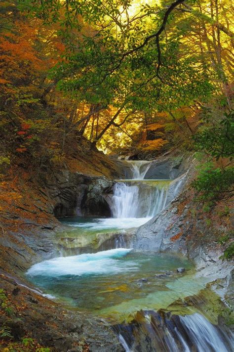 Artistic Realistic Nature Nature Waterfall Autumn Scenery