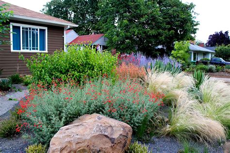 Drought Tolerant Garden With Gravel Creative Landscapes Inc