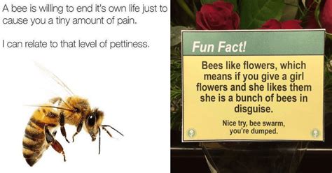29 Unbeelievably Funny Bee Memes And Tweets That Are Good For Your