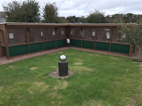 Meadow View Cattery A Purpose Built Fully Licensed Boarding Cattery
