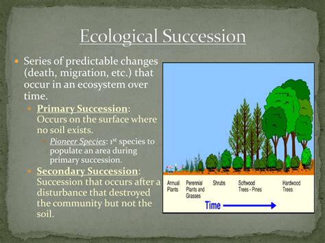 Ppt Ecosystems And Communities Powerpoint Presentation Free Download