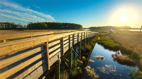 How To Spend A Day In Blackwater National Wildlife Refuge
