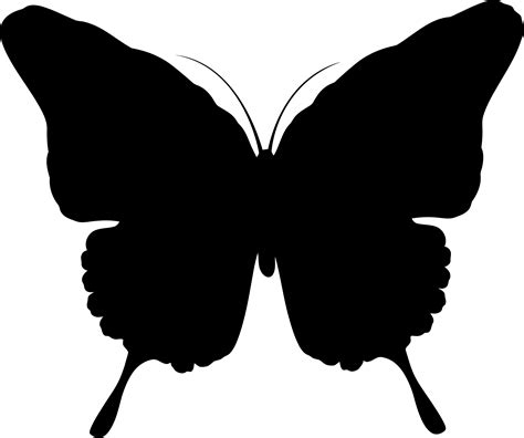 Butterfly Silhouette Clip Art Butterfly Silhouette Png Download
