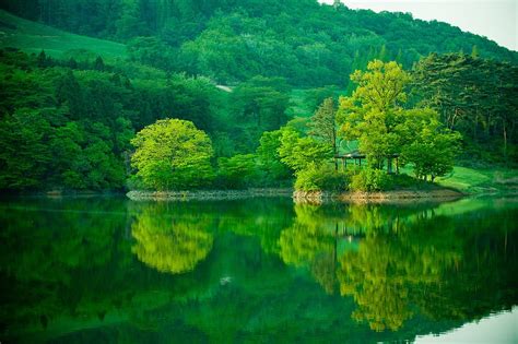 Hd Wallpaper Body Of Water Surrounded With Trees For Business