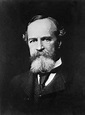 He Questioned the Meaning of Life. William James Answered. - The New ...