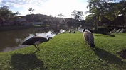 Parque De France - Joinville/SC - YouTube
