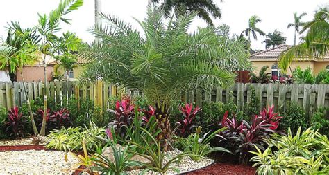 25 Extraordinary Florida Landscaping Ideas You Need To Know Decoor