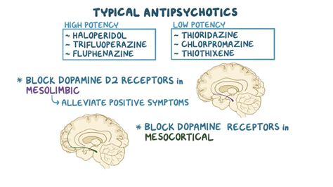 Typical Antipsychotics Video Anatomy And Definition Osmosis