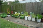 Vegetable Container Gardening For Beginners | The Garden