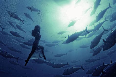 Amazing Underwater Photography