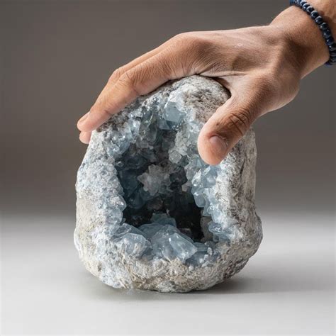 Genuine Blue Celestite Geode V1 Astro Gallery Touch Of Modern