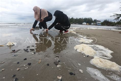 Batu Bara Cemari Pantai Wisata Di Aceh Antara Foto